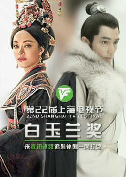 哪家seo矩阵最便宜